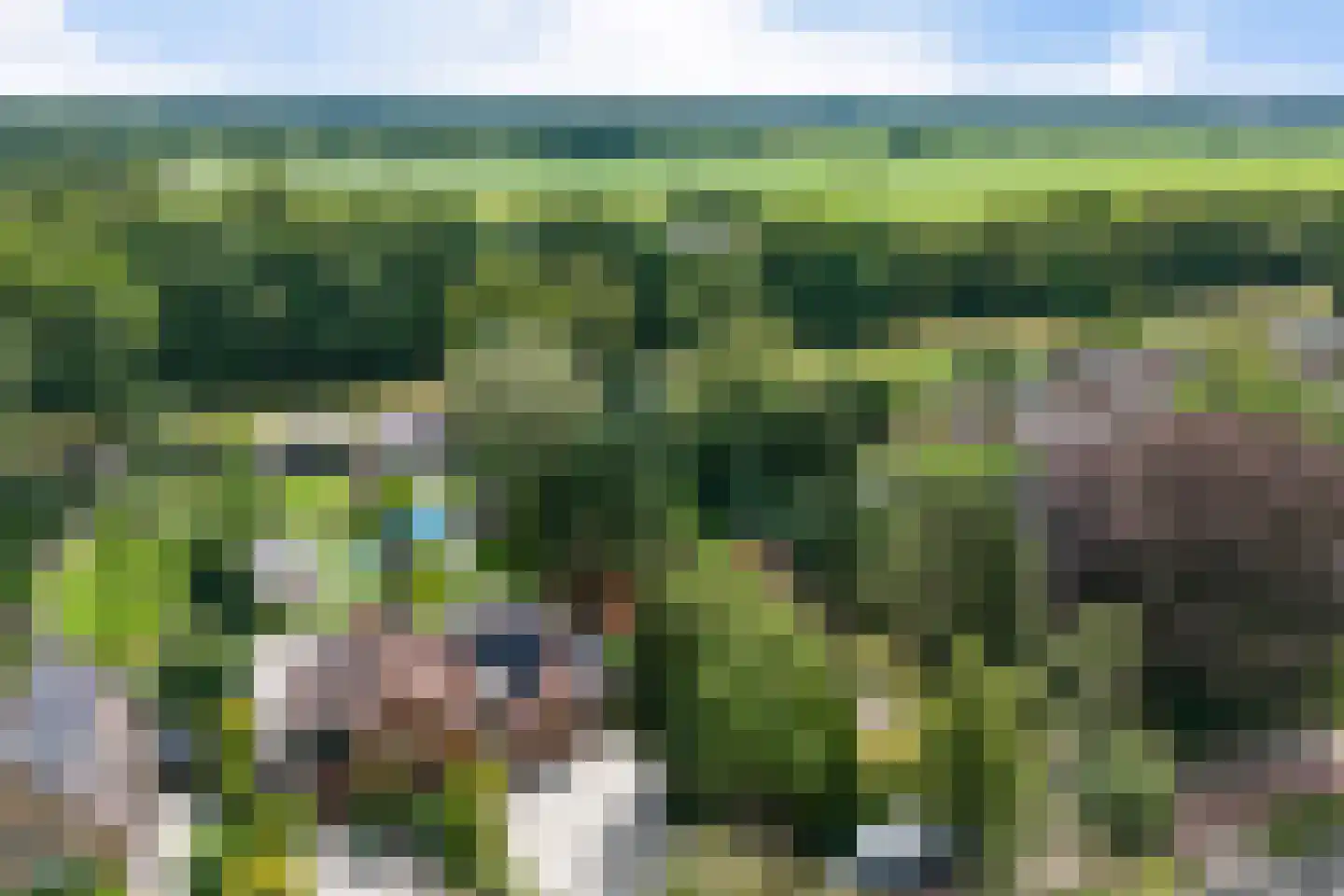Tolakkerweg 75 Hollandsche Rading thumbnail 97