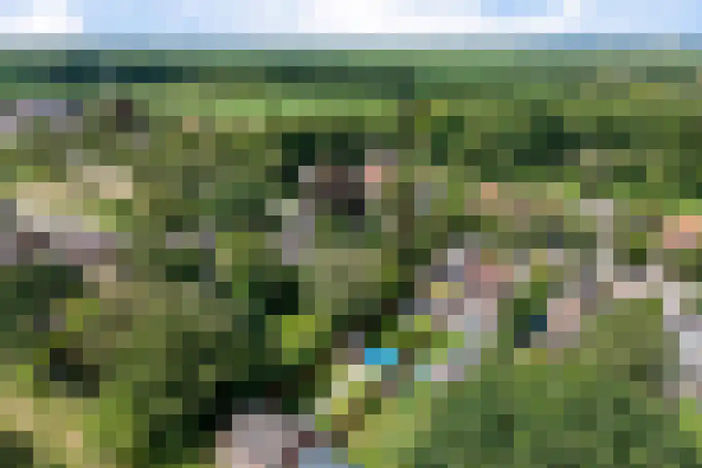 Tolakkerweg 75 Hollandsche Rading thumbnail 98