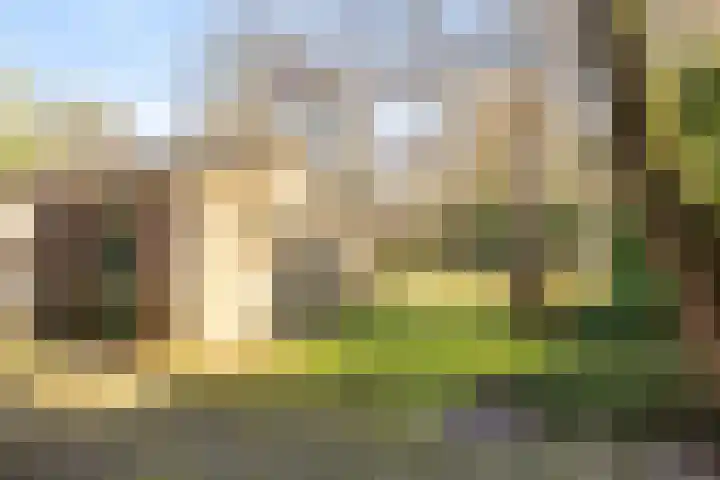 Tolakkerweg 83 Hollandsche Rading thumbnail 18