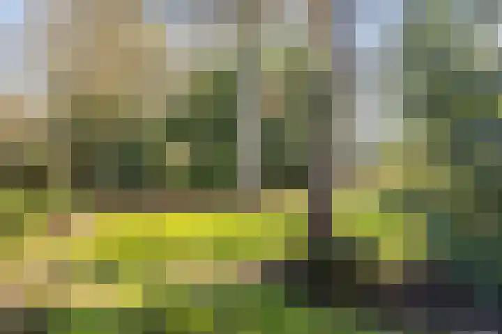 Tolakkerweg 83 Hollandsche Rading thumbnail 19