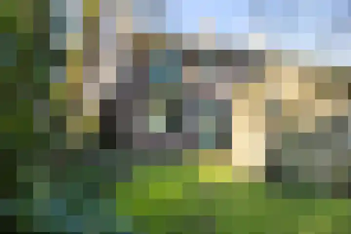 Tolakkerweg 83 Hollandsche Rading thumbnail 22