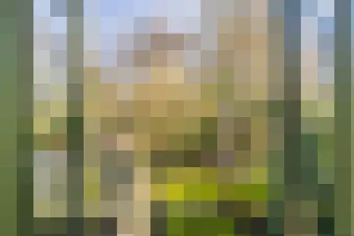 Tolakkerweg 83 Hollandsche Rading thumbnail 26