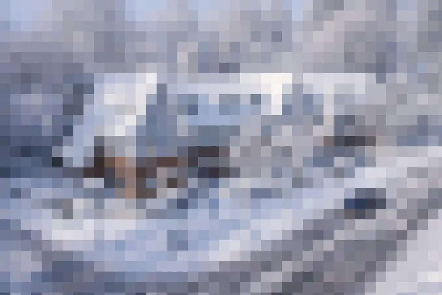 Tolakkerweg 9 Hollandsche Rading thumbnail 4