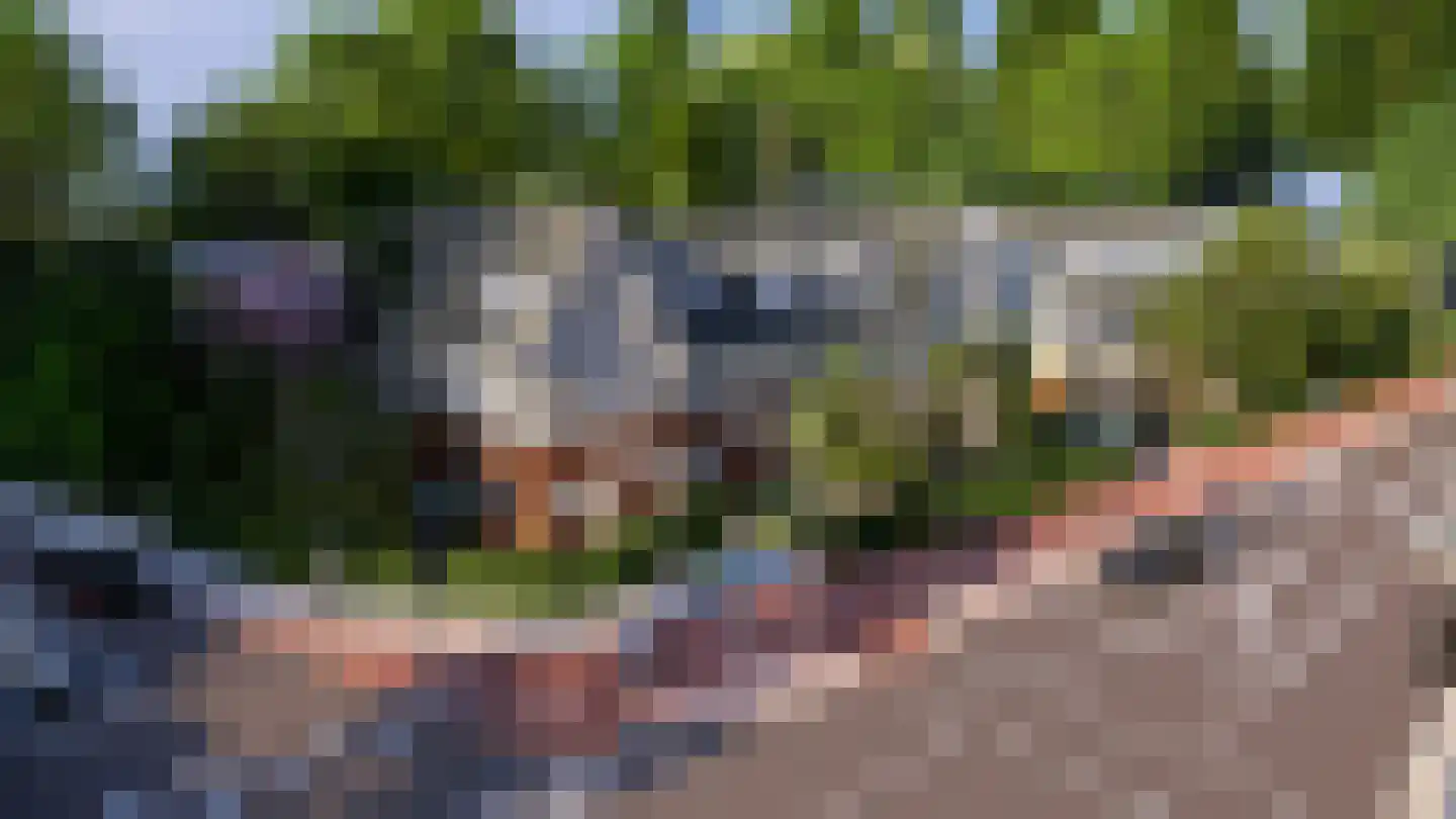 Tolakkerweg 9 Hollandsche Rading thumbnail 5