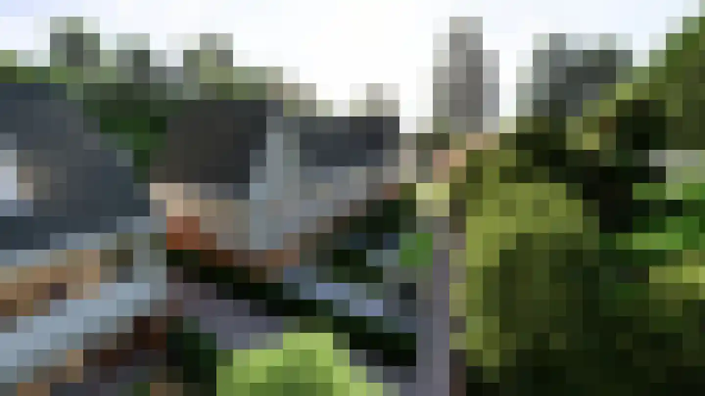 Tolakkerweg 9 Hollandsche Rading thumbnail 9
