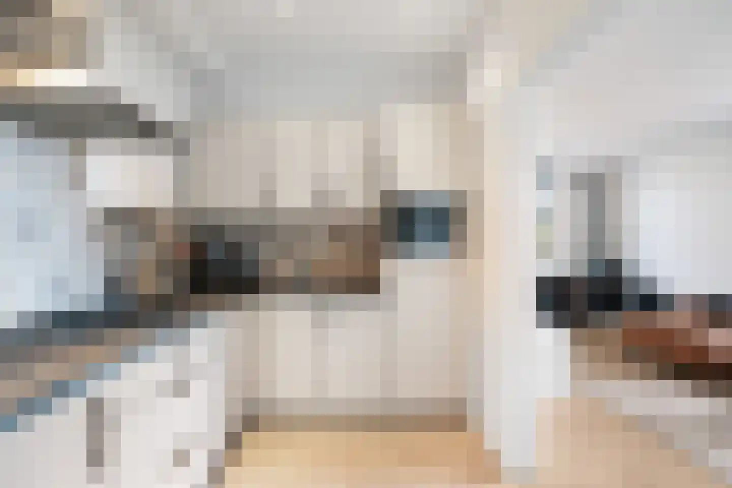 Tolberterstraat 43 Leek thumbnail 25