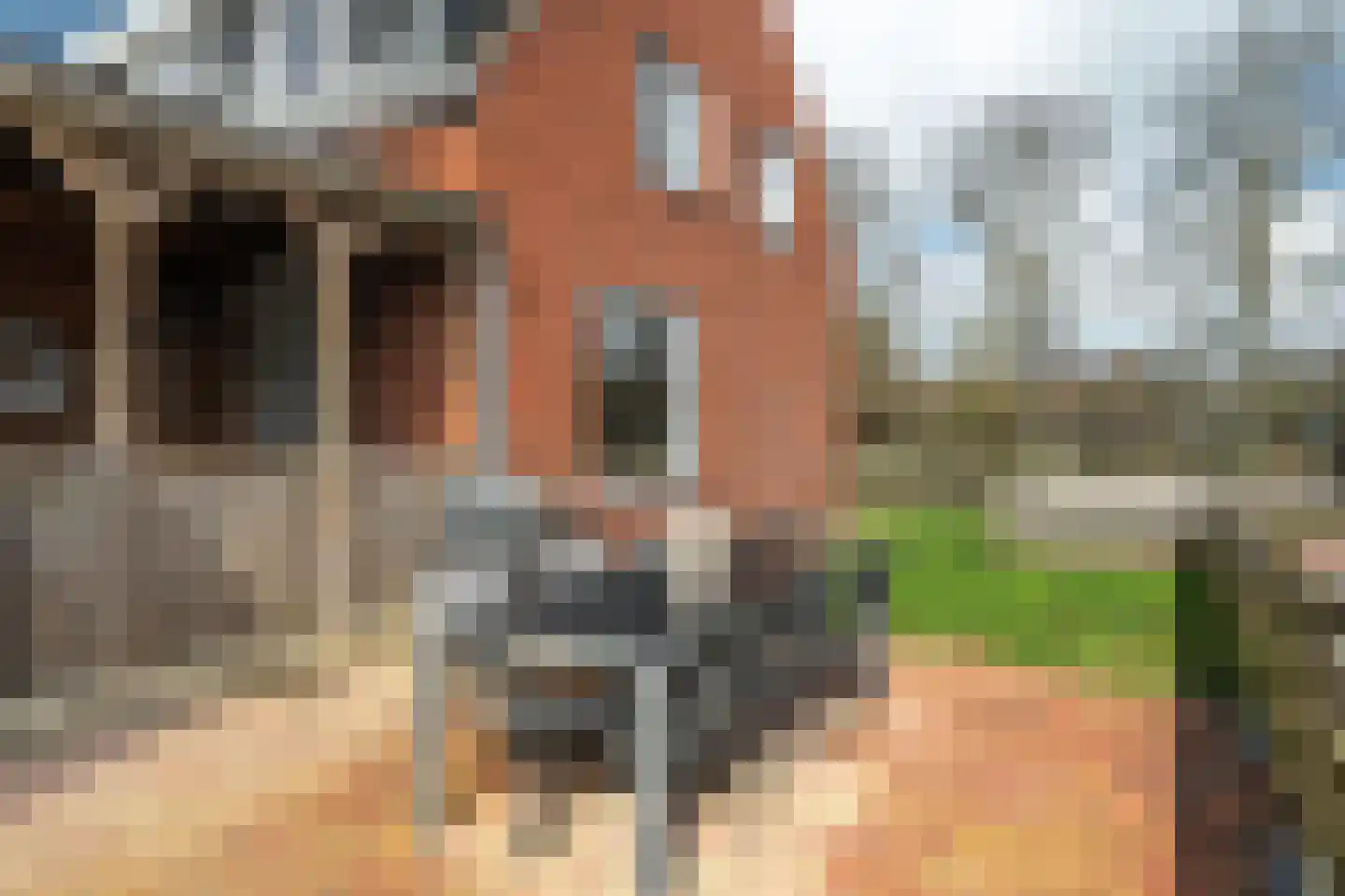 Tolberterstraat 43 Leek thumbnail 5