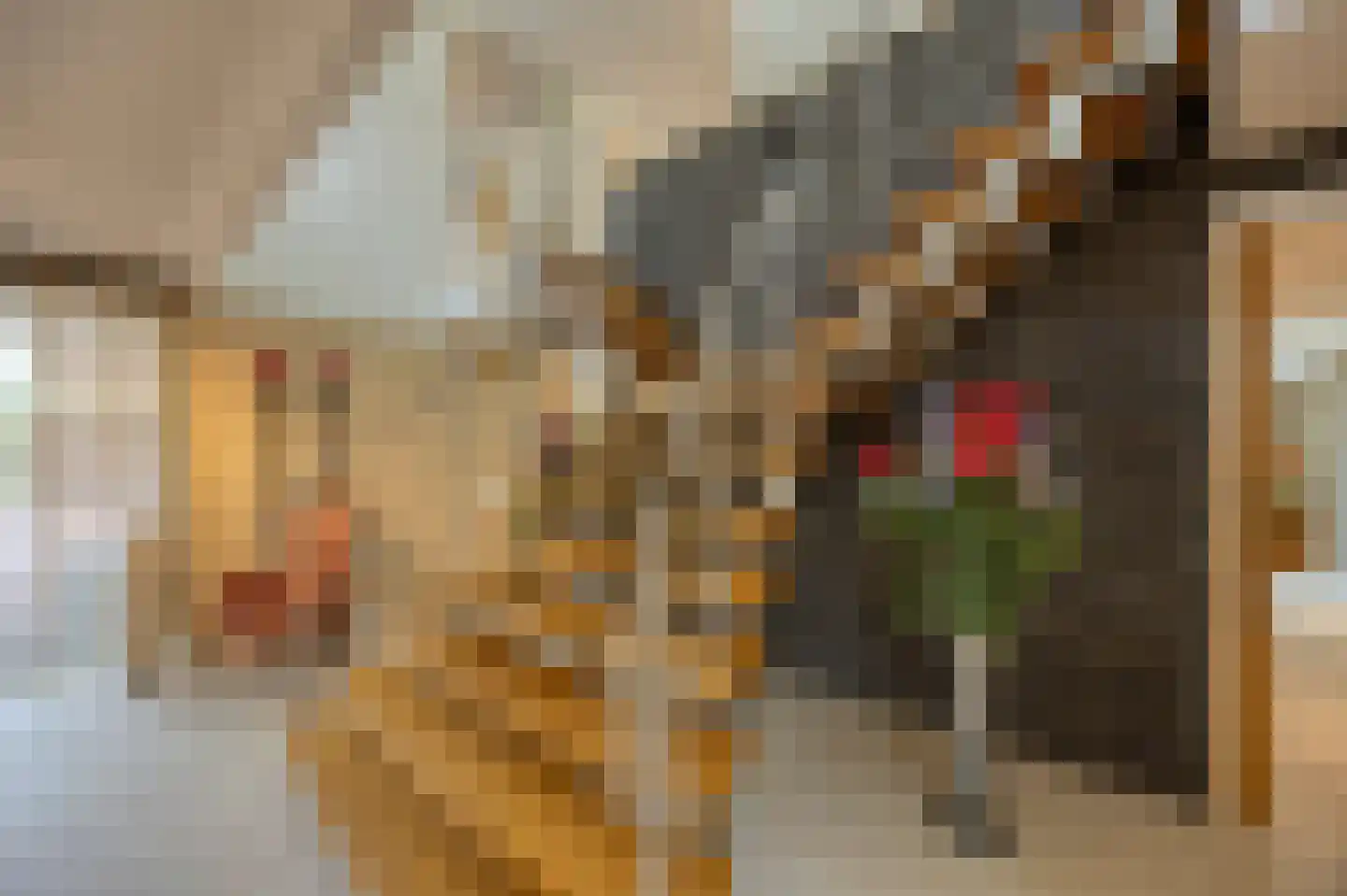Tolberterstraat 55 Leek thumbnail 39