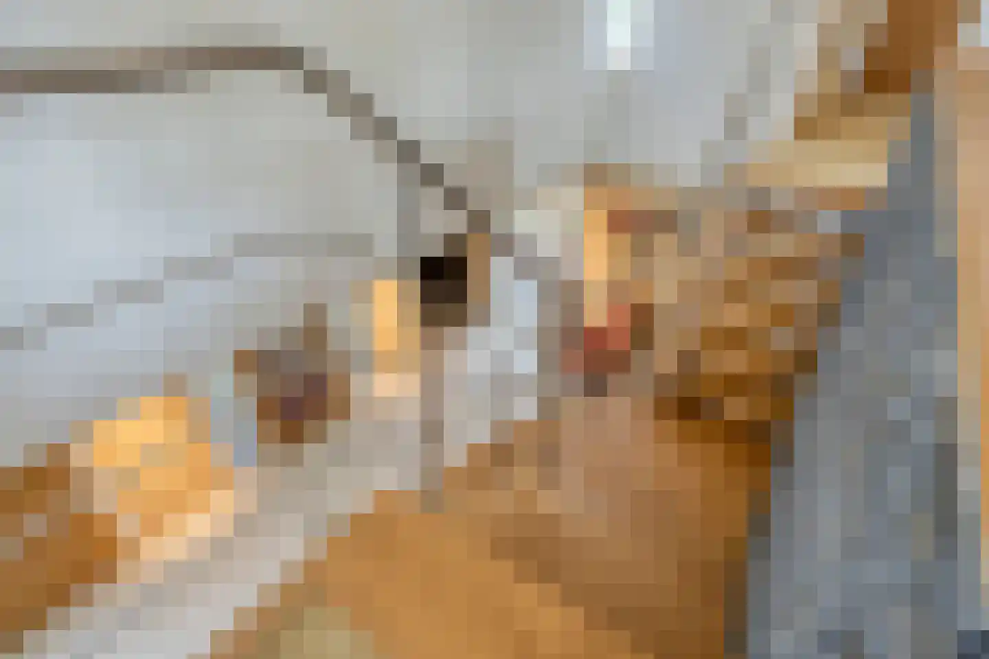 Tolberterstraat 55 Leek thumbnail 41