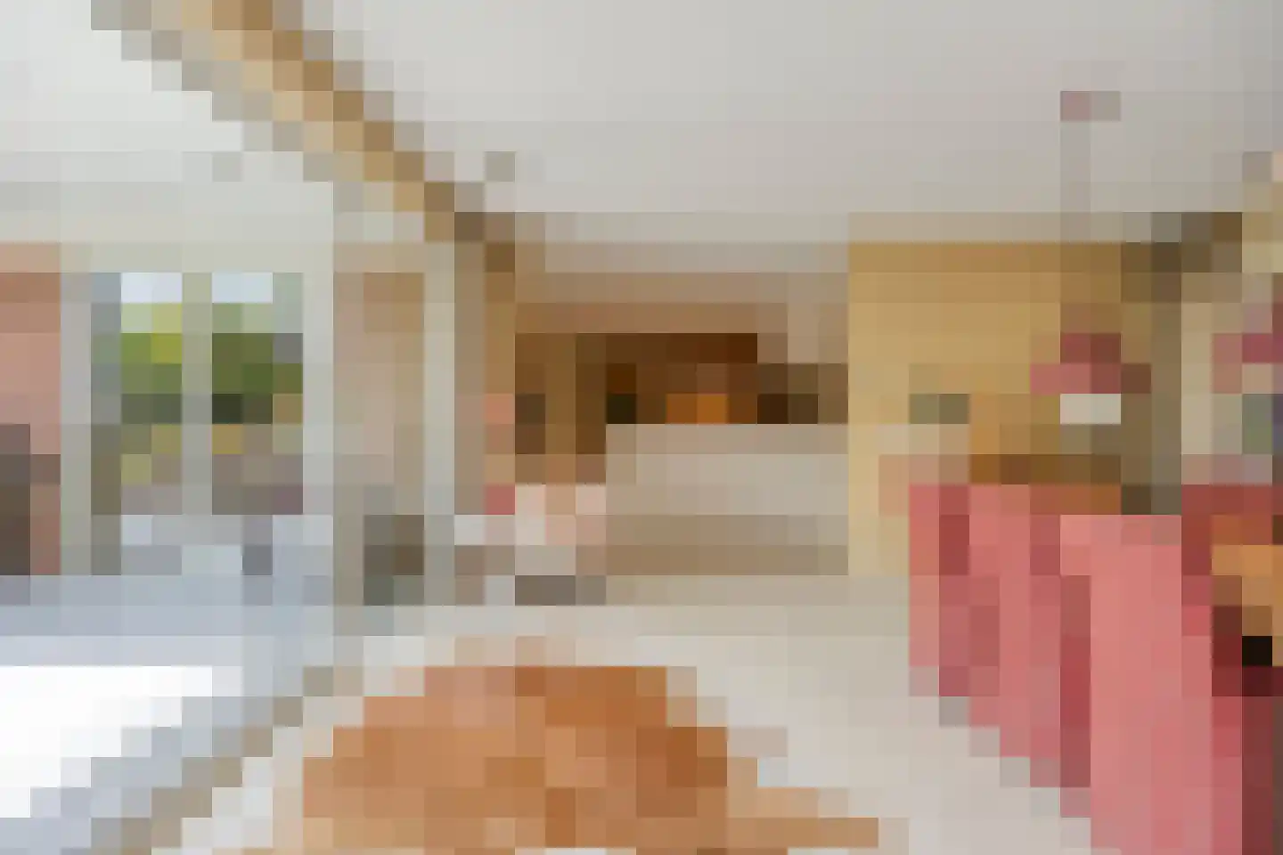 Tolberterstraat 55 Leek thumbnail 5