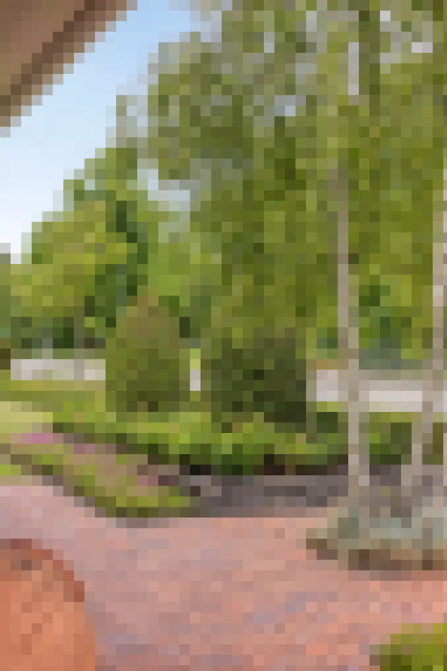 Tolberterstraat 55 Leek thumbnail 57