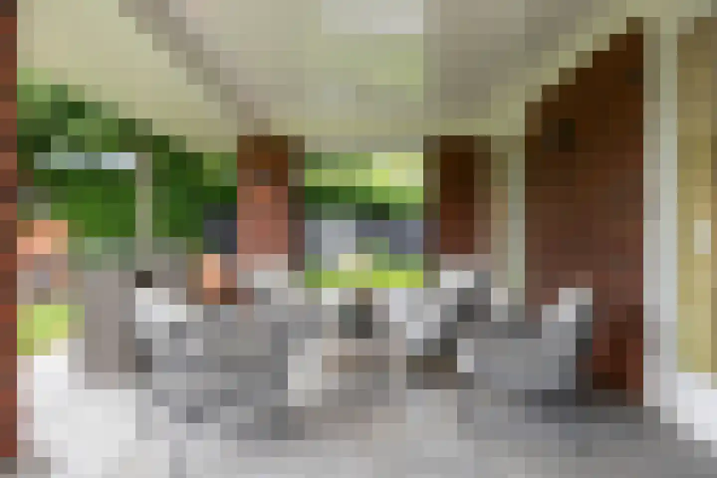 Tolberterstraat 55 Leek thumbnail 59