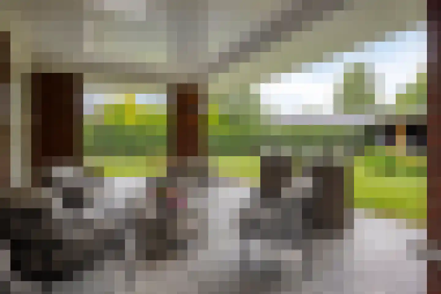 Tolberterstraat 55 Leek thumbnail 6