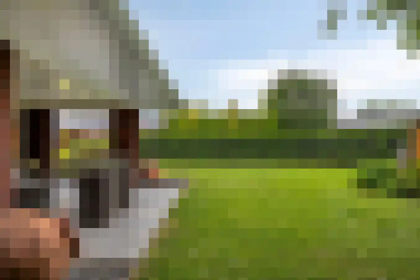 Tolberterstraat 55 Leek thumbnail 63