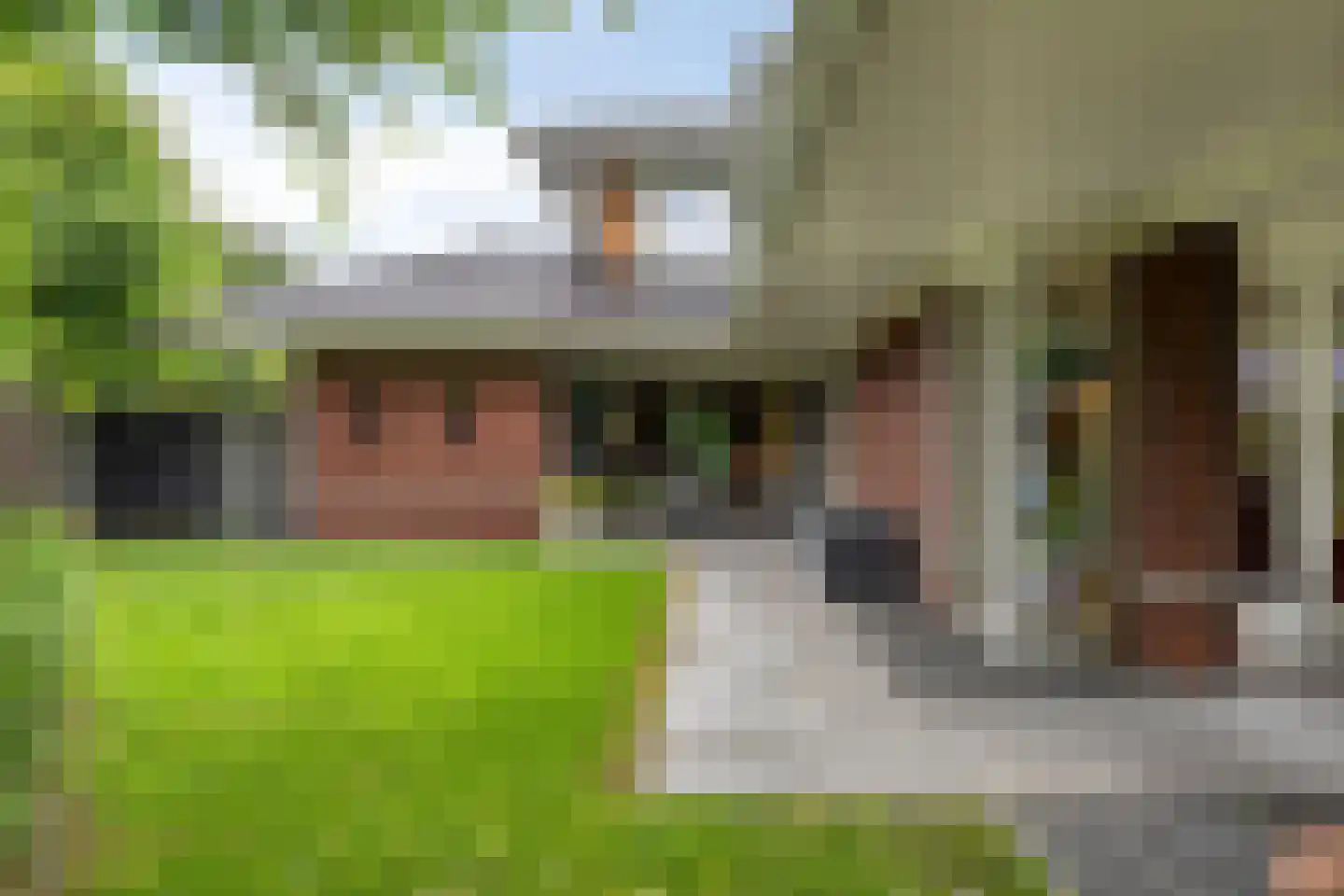 Tolberterstraat 55 Leek thumbnail 69