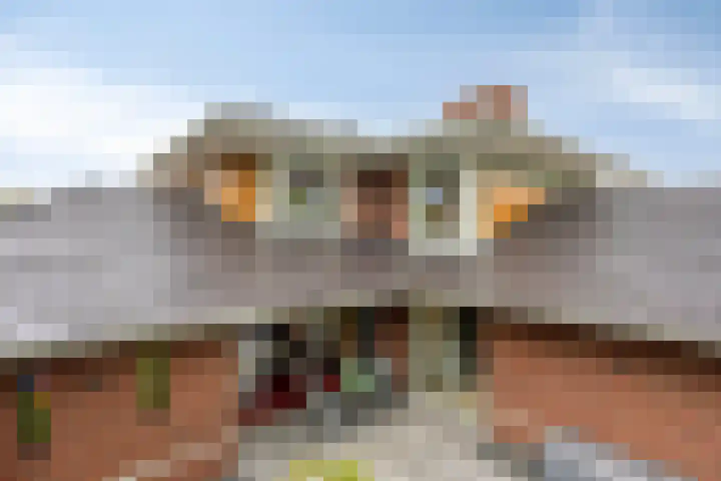 Tolberterstraat 55 Leek thumbnail 71