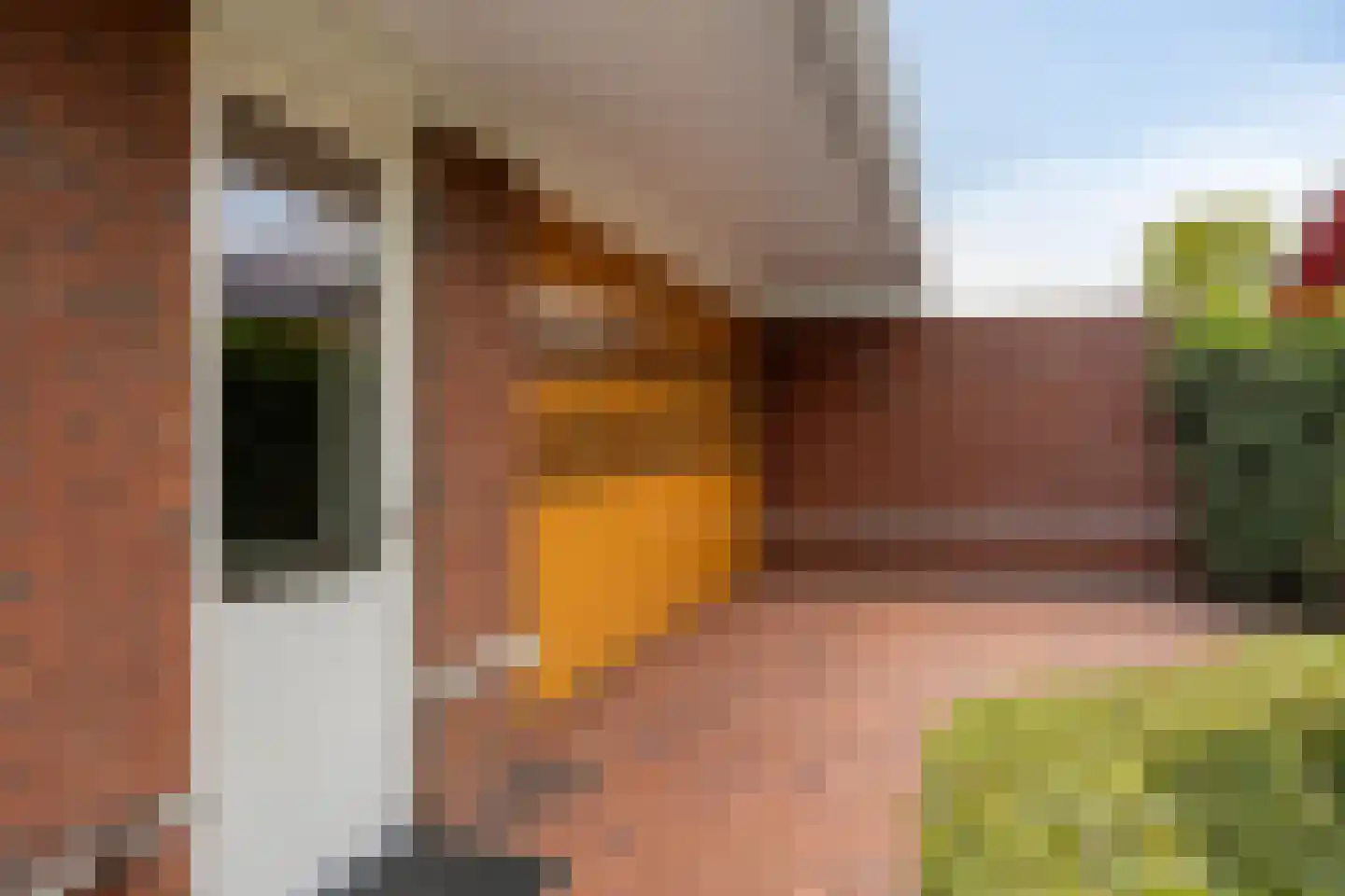 Tolberterstraat 55 Leek thumbnail 73