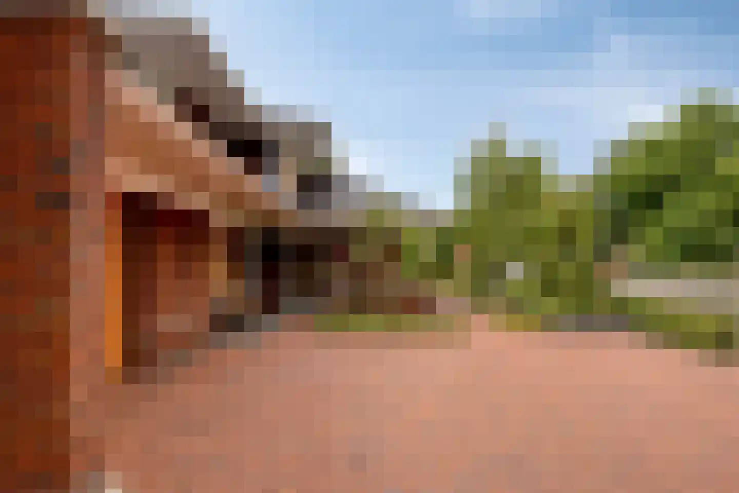 Tolberterstraat 55 Leek thumbnail 75