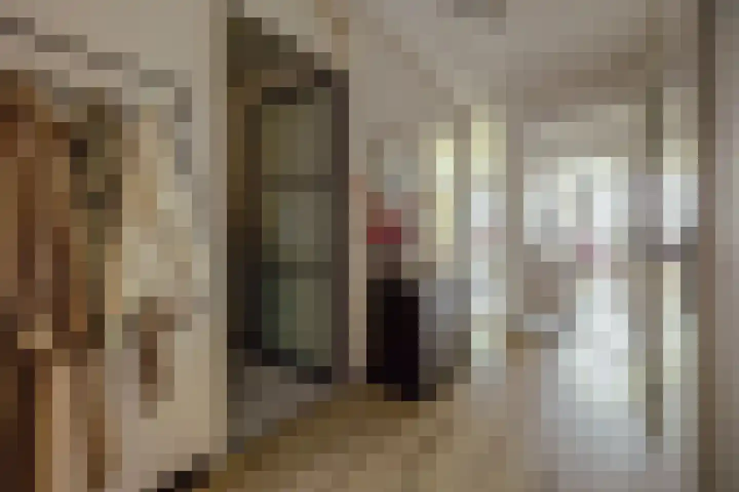 Tolbrugplein 70 Raamsdonksveer thumbnail 11