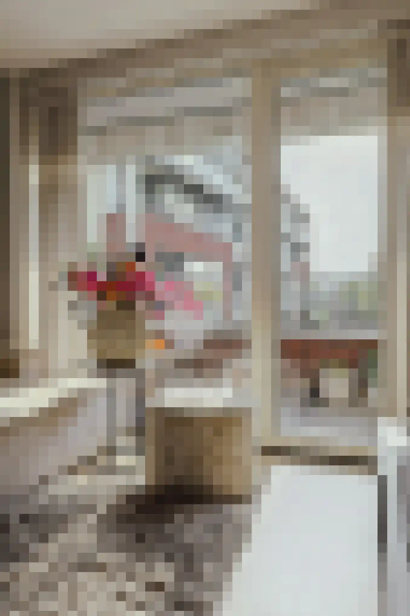Tolbrugplein 70 Raamsdonksveer thumbnail 17