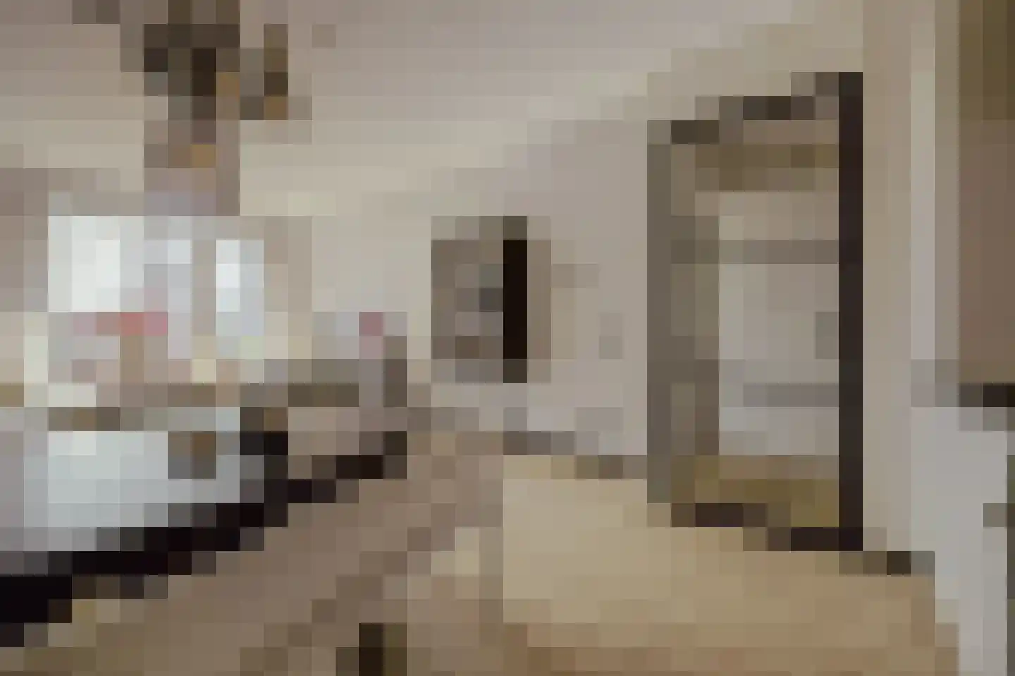Tolbrugplein 70 Raamsdonksveer thumbnail 20