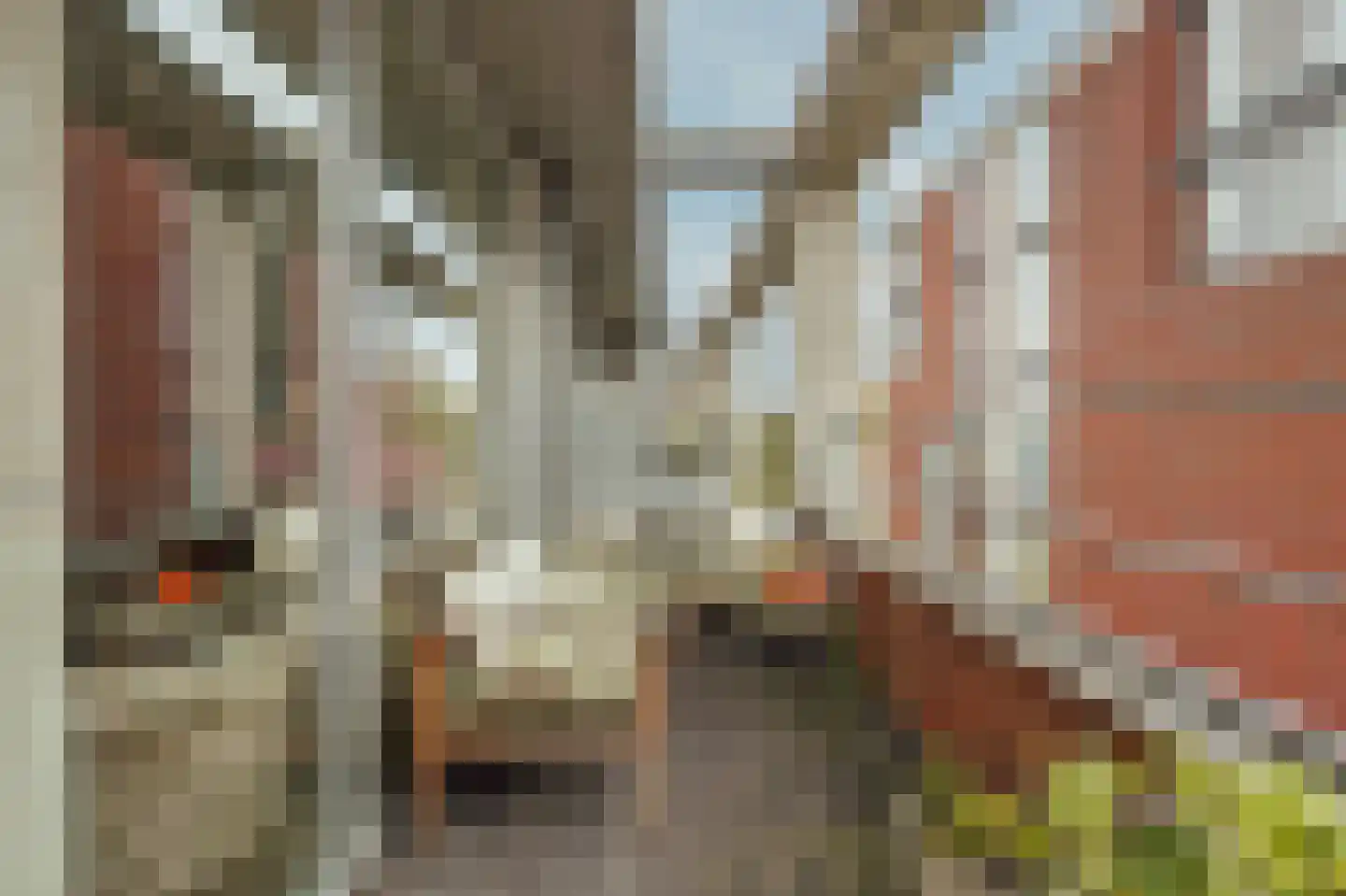 Tolbrugplein 70 Raamsdonksveer thumbnail 30