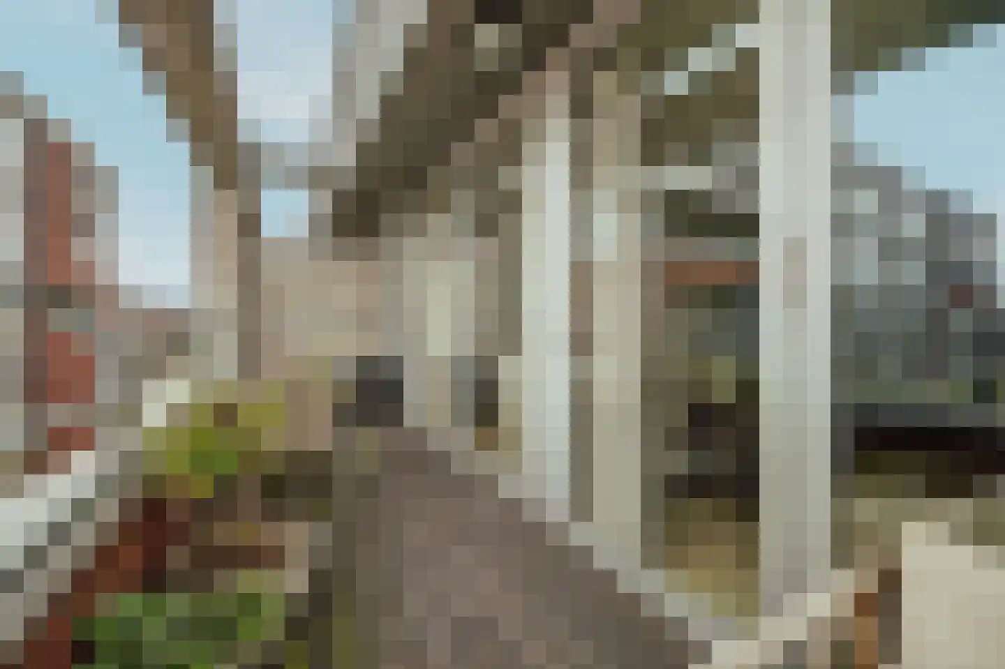 Tolbrugplein 70 Raamsdonksveer thumbnail 31