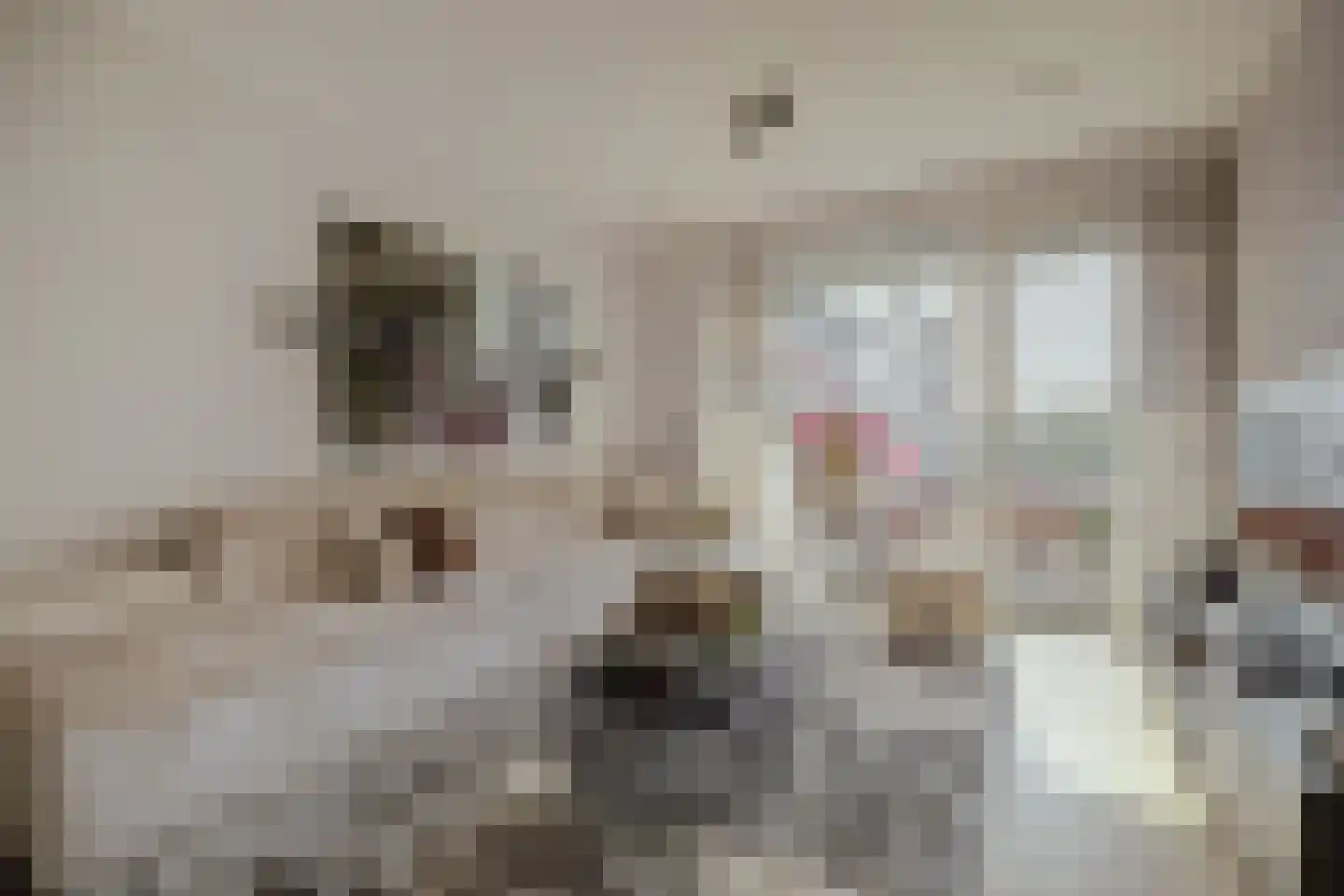 Tolbrugplein 70 Raamsdonksveer thumbnail 5