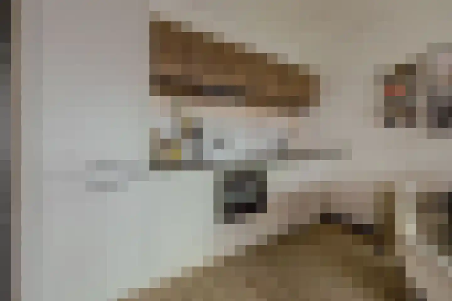 Tolbrugplein 70 Raamsdonksveer thumbnail 6