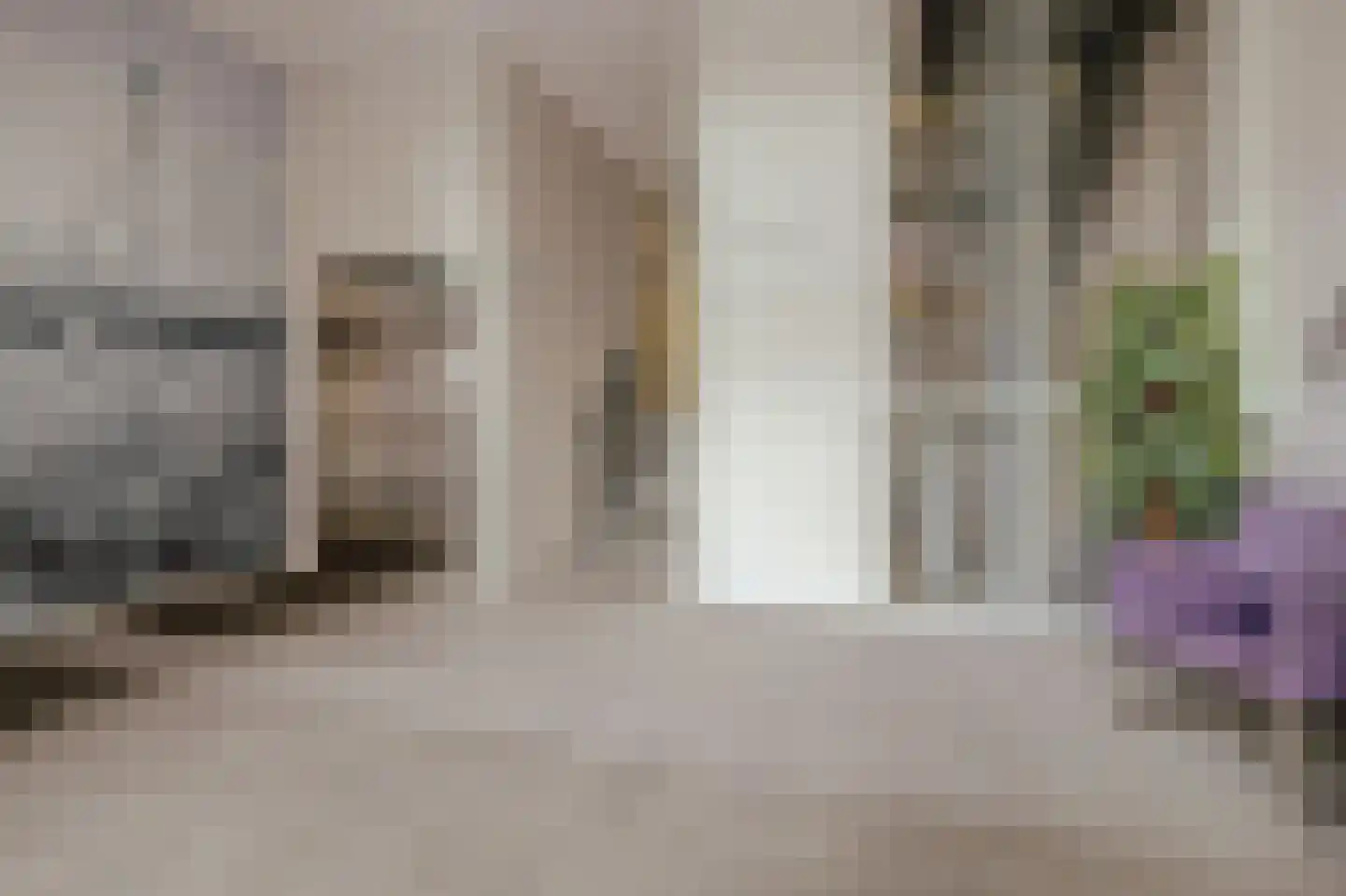 Tolbrugplein 70 Raamsdonksveer thumbnail 8