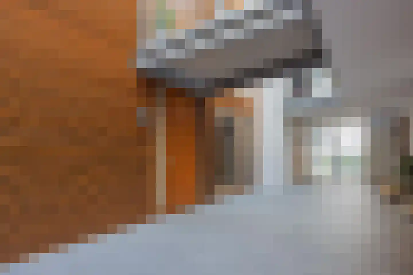 Tolbrugplein 8 Raamsdonksveer thumbnail 18