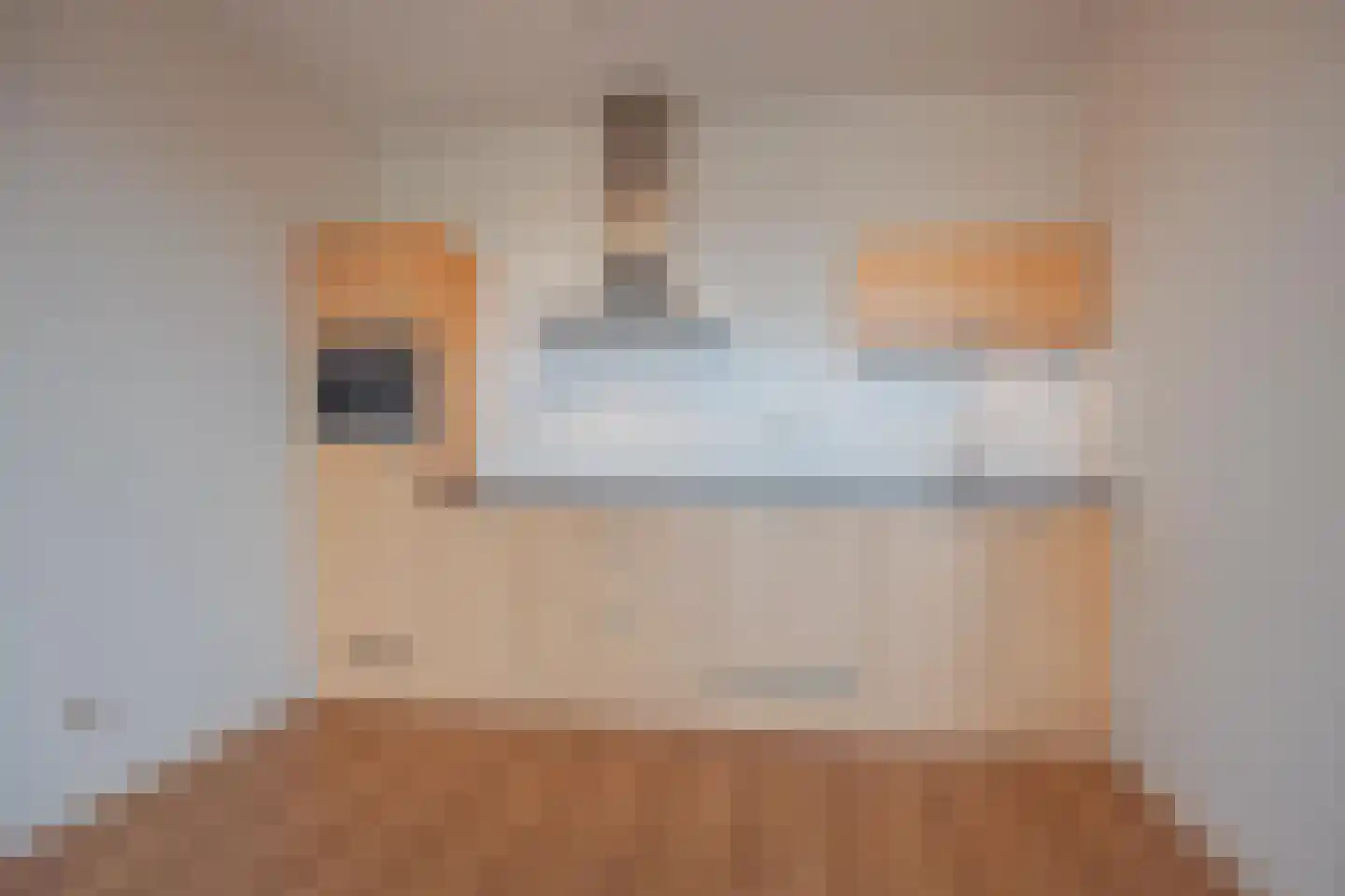 Tolbrugplein 8 Raamsdonksveer thumbnail 24