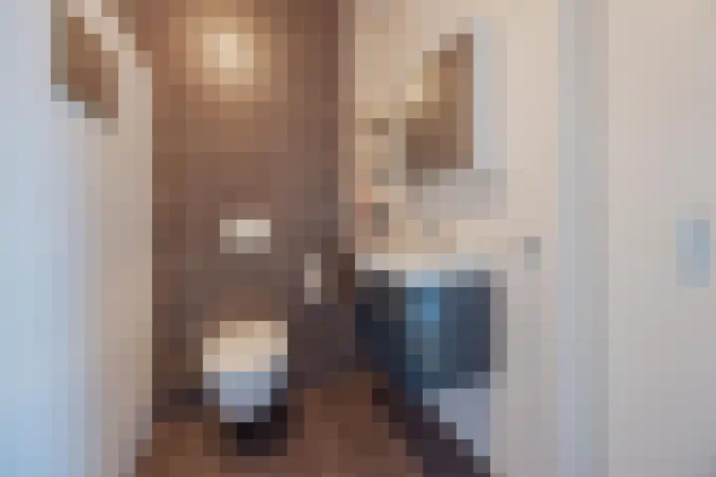 Tolbrugplein 8 Raamsdonksveer thumbnail 32