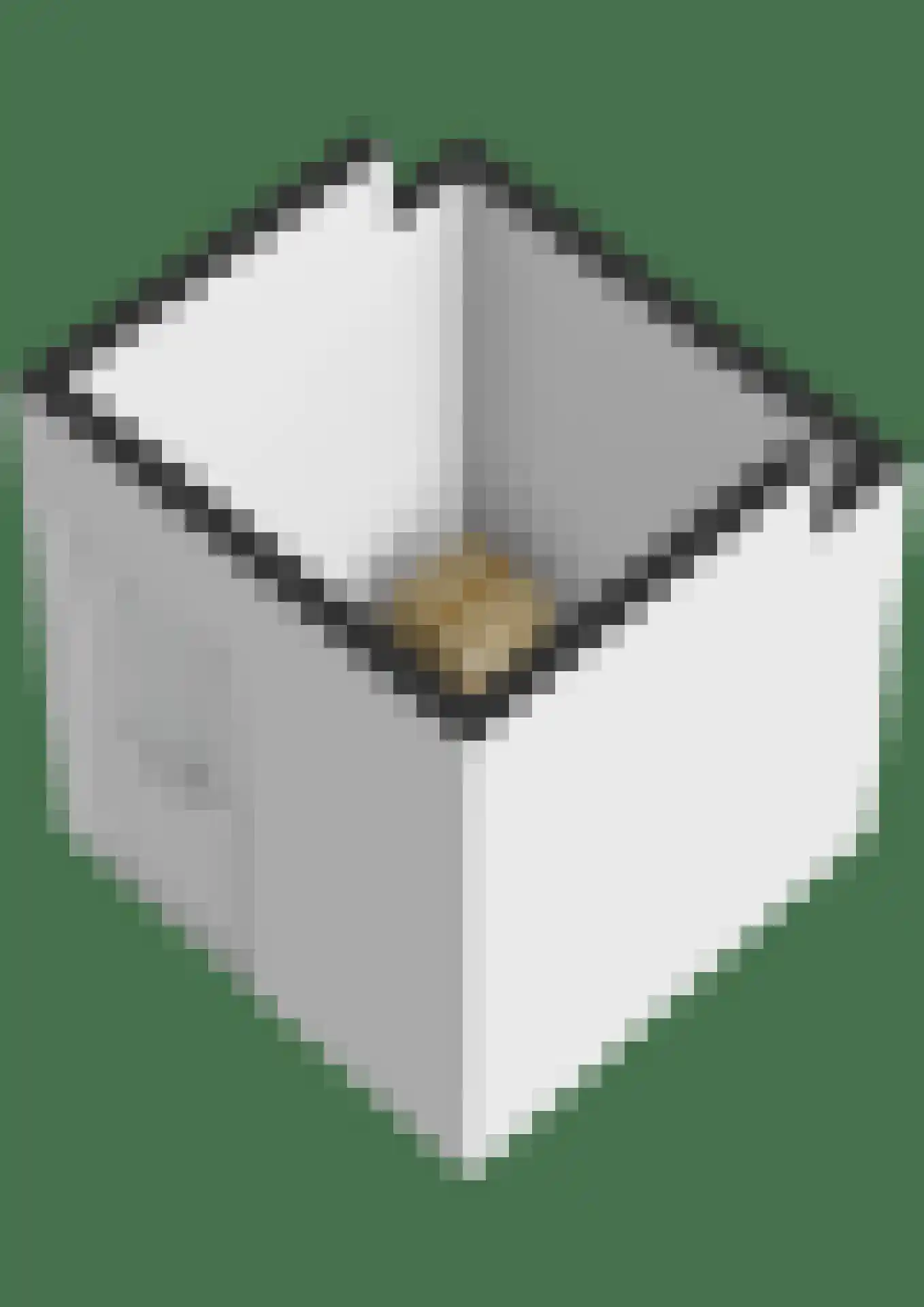 Tolbrugplein 8 Raamsdonksveer thumbnail 49