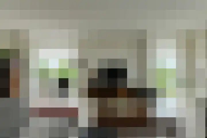 Tolbrugplein 89 Raamsdonksveer thumbnail 22