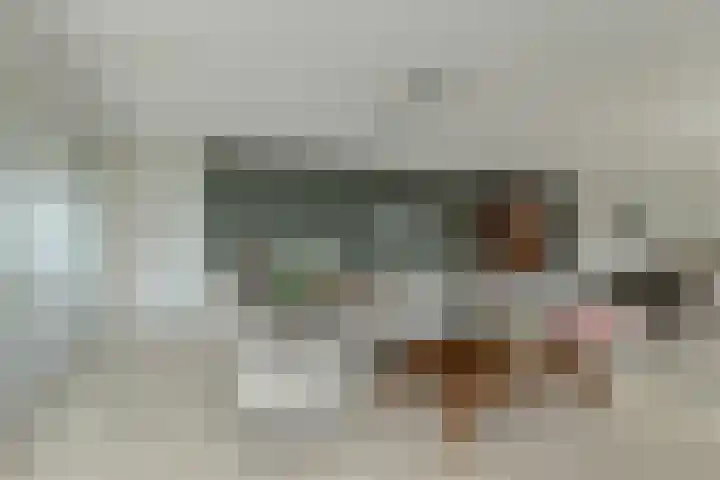 Tolbrugplein 89 Raamsdonksveer thumbnail 24