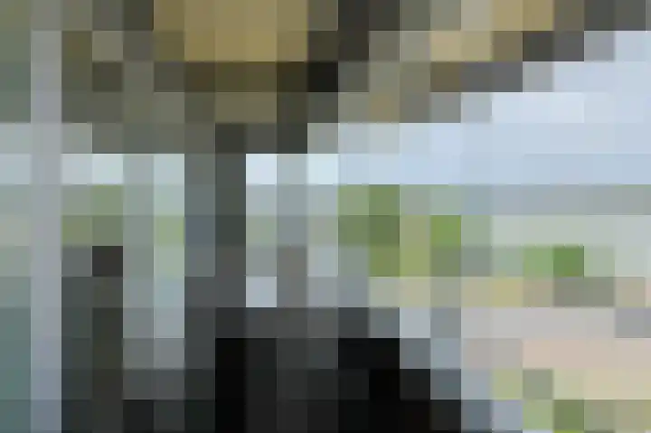 Tolbrugplein 89 Raamsdonksveer thumbnail 31