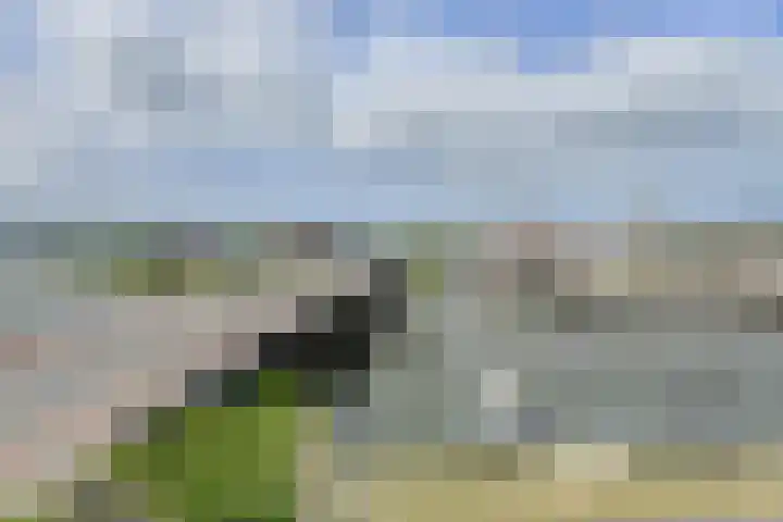 Tolbrugplein 89 Raamsdonksveer thumbnail 33