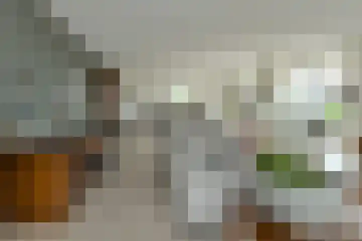 Tolbrugplein 89 Raamsdonksveer thumbnail 34