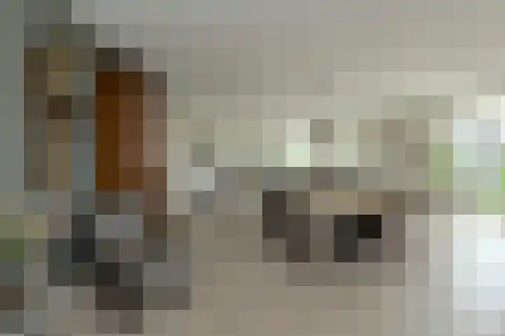 Tolbrugplein 89 Raamsdonksveer thumbnail 35