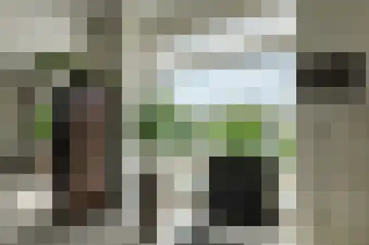 Tolbrugplein 89 Raamsdonksveer thumbnail 37