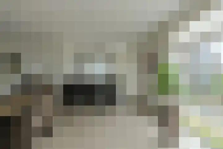 Tolbrugplein 89 Raamsdonksveer thumbnail 38