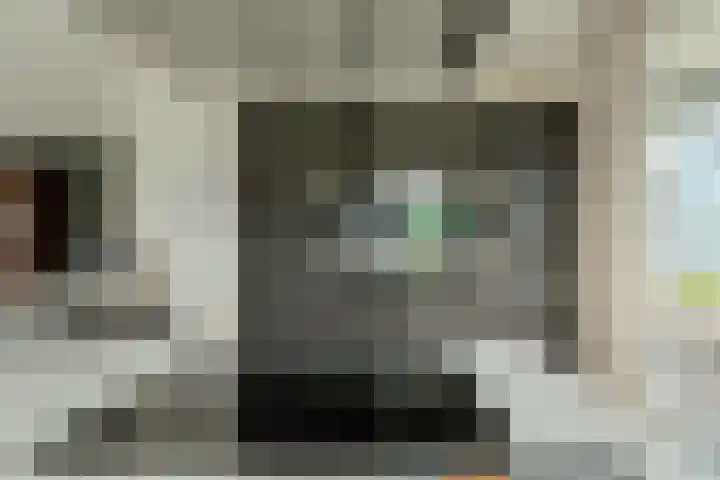 Tolbrugplein 89 Raamsdonksveer thumbnail 41