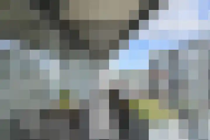 Tolbrugplein 89 Raamsdonksveer thumbnail 44