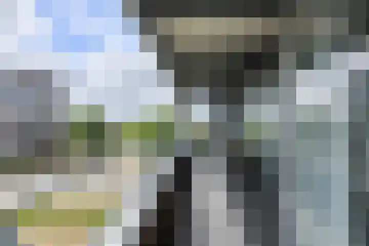 Tolbrugplein 89 Raamsdonksveer thumbnail 45