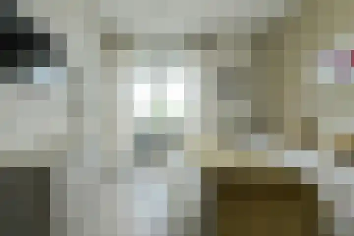 Tolbrugplein 89 Raamsdonksveer thumbnail 48
