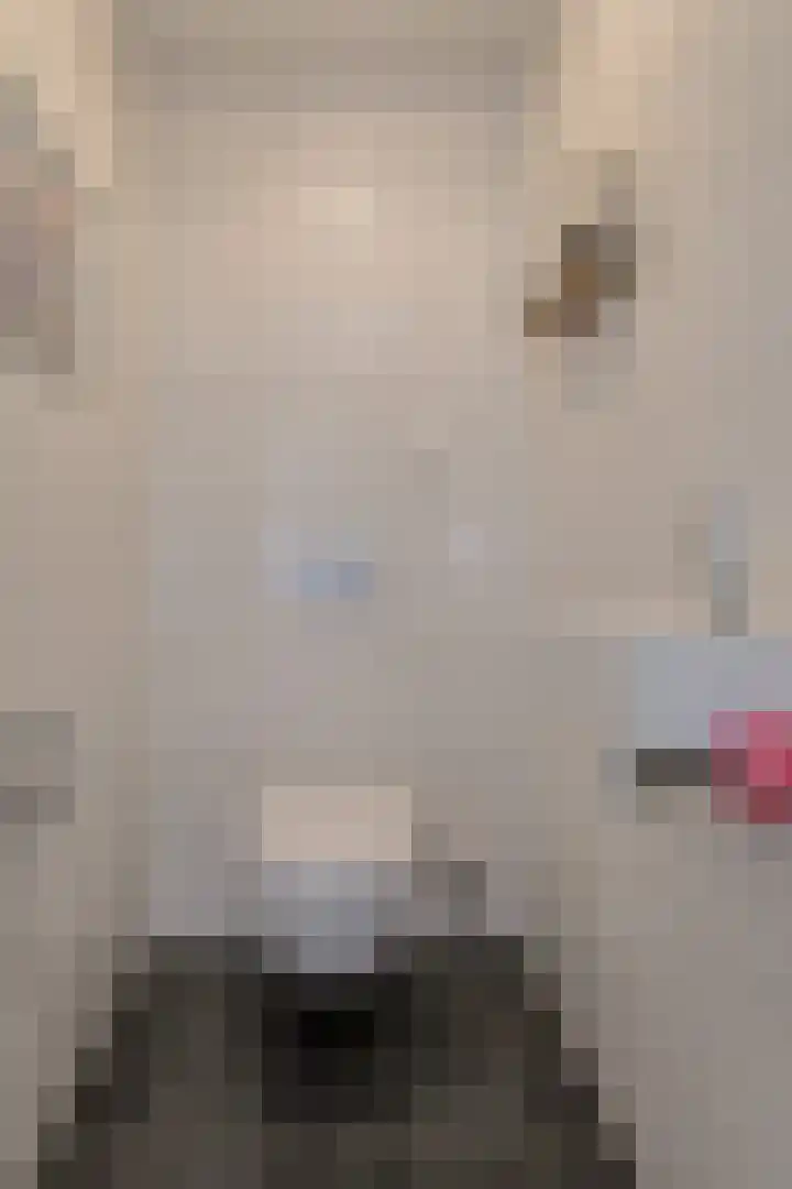 Tolbrugplein 89 Raamsdonksveer thumbnail 54