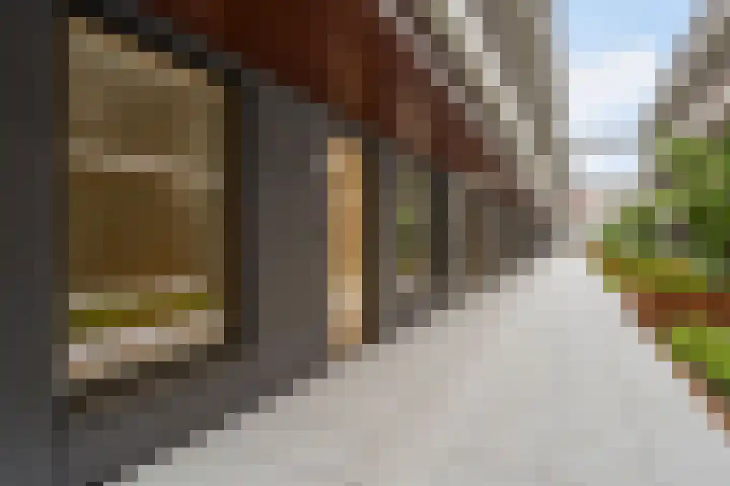 Tolbrugstraat 3 's-Hertogenbosch thumbnail 32