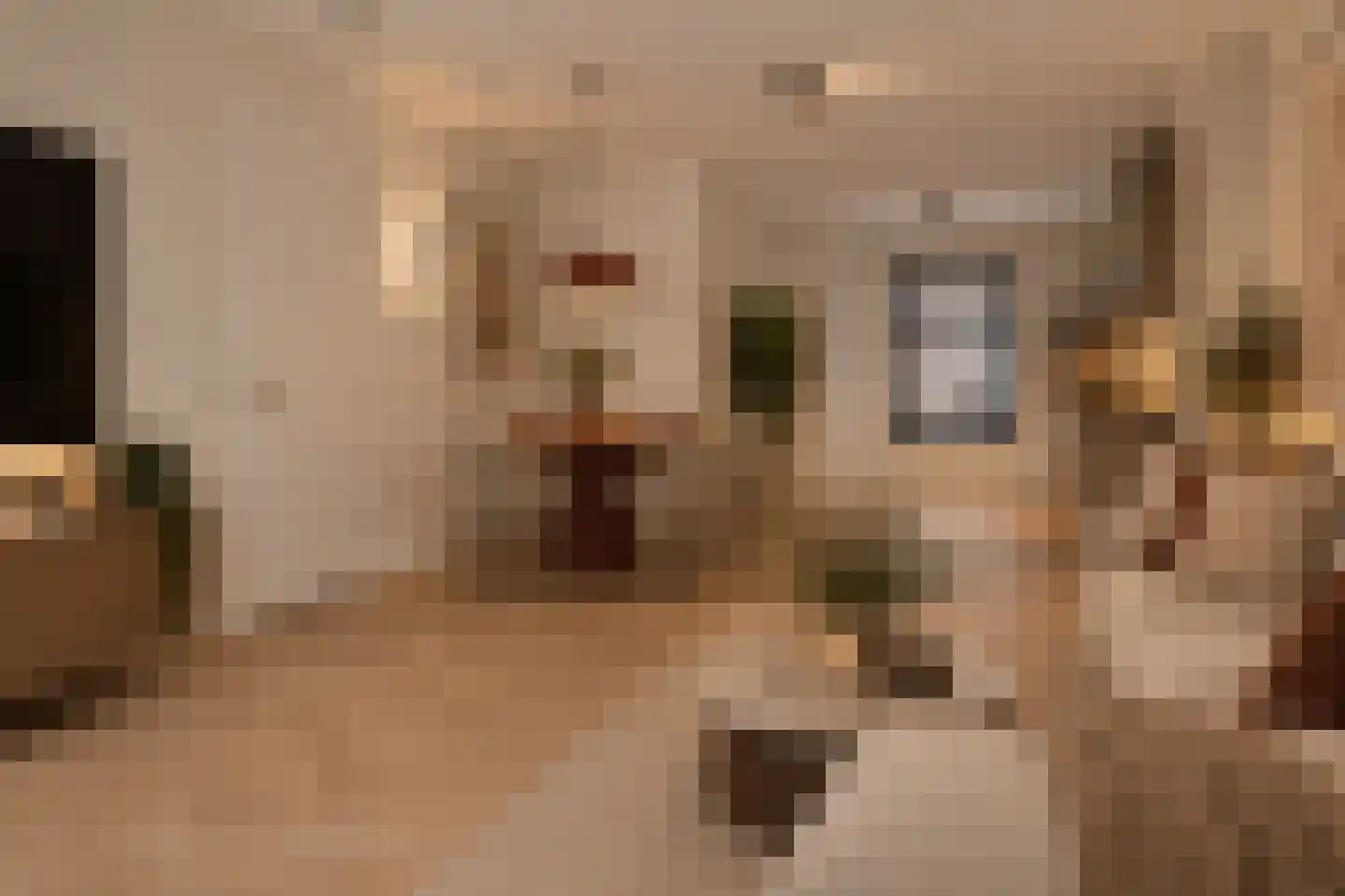 Tolbrugstraat 3 's-Hertogenbosch thumbnail 7