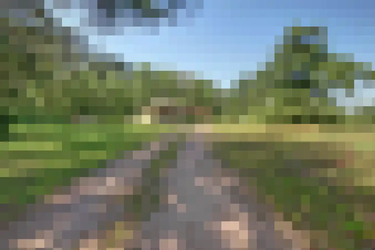 Toldijk 1 Laren thumbnail 27